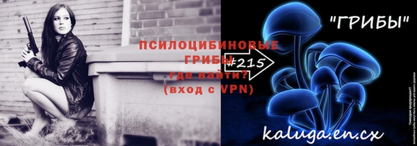 винт Елабуга