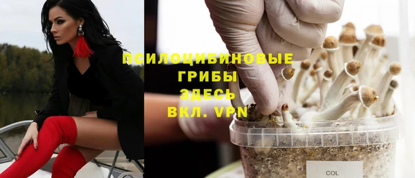 скорость Елизово