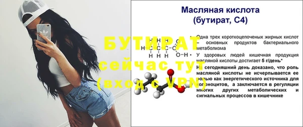 спиды Ельня