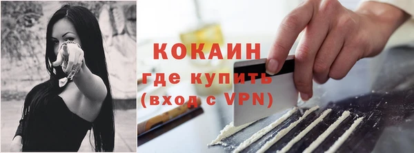 спиды Ельня