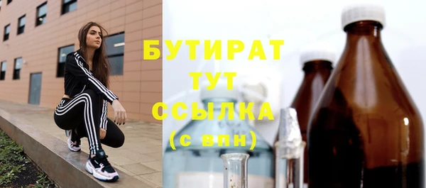 спиды Ельня