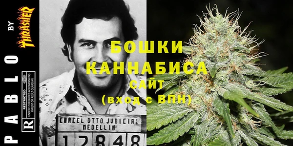 спиды Ельня