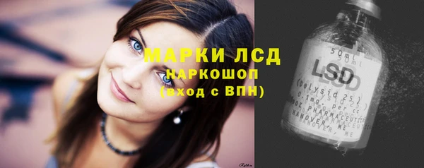 спиды Ельня