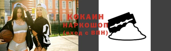 спиды Ельня