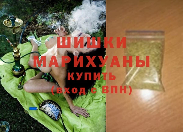 спиды Ельня
