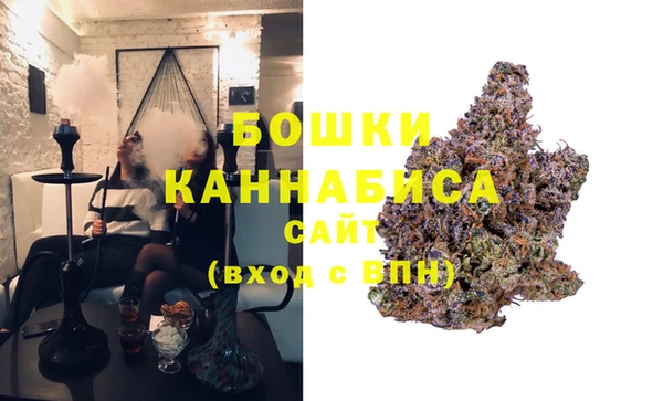 спиды Ельня