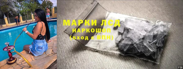 спиды Ельня