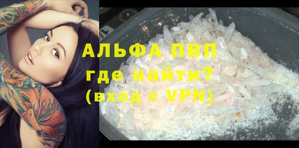 спиды Ельня