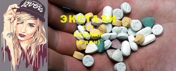 спиды Ельня