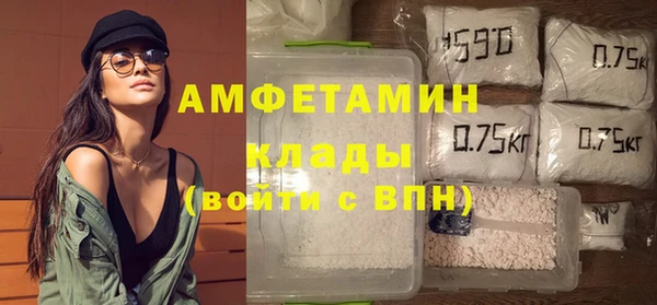 спиды Ельня
