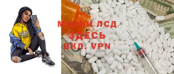 спиды Ельня